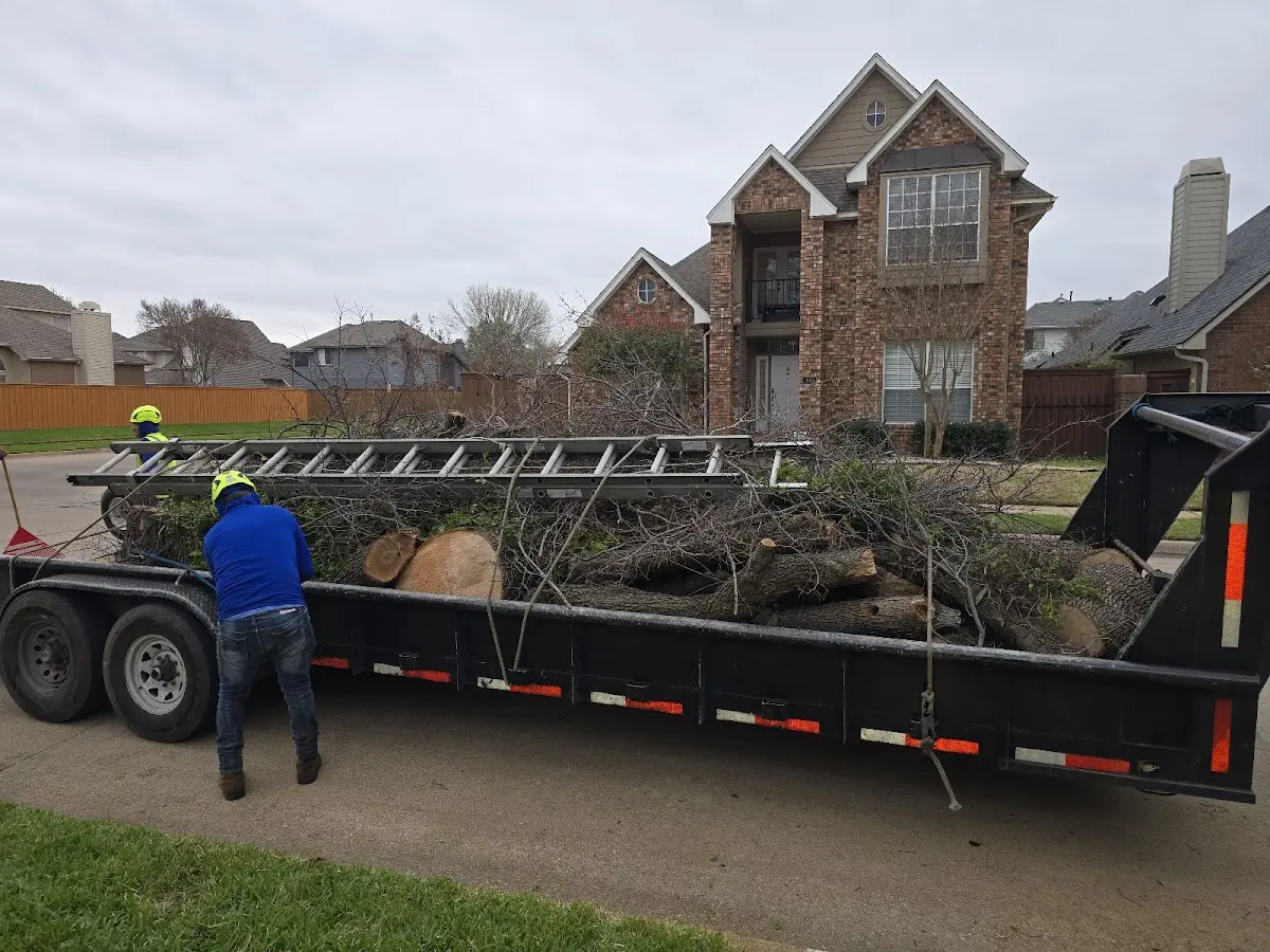 Expert Lot Clearing with proper safety equipment in Chino Valley